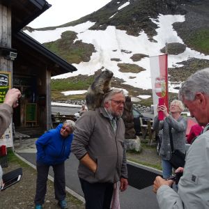 kuchl-2018-glocknerstr.-mankeiwirt